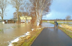 Bild-Flut
